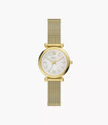 Carlie Mini 28mm Three-Hand Stainless Steel Watch T1